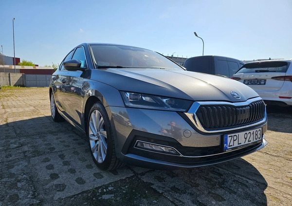 Skoda Octavia cena 134999 przebieg: 7170, rok produkcji 2023 z Brwinów małe 301